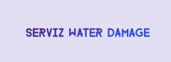 Serviz Water Damage